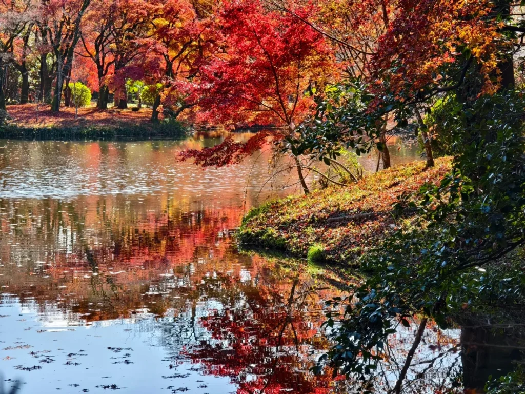 Kyoto Botanical Gardens02