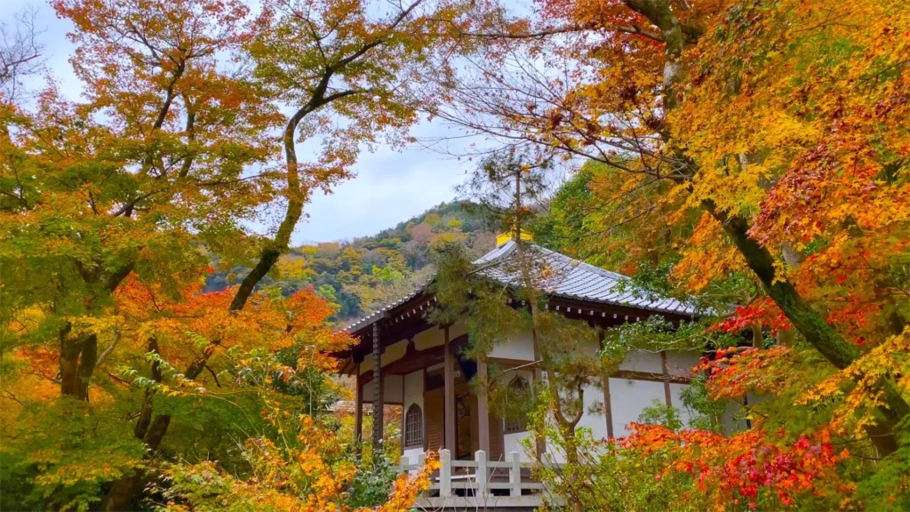 Hogonin_Autumn