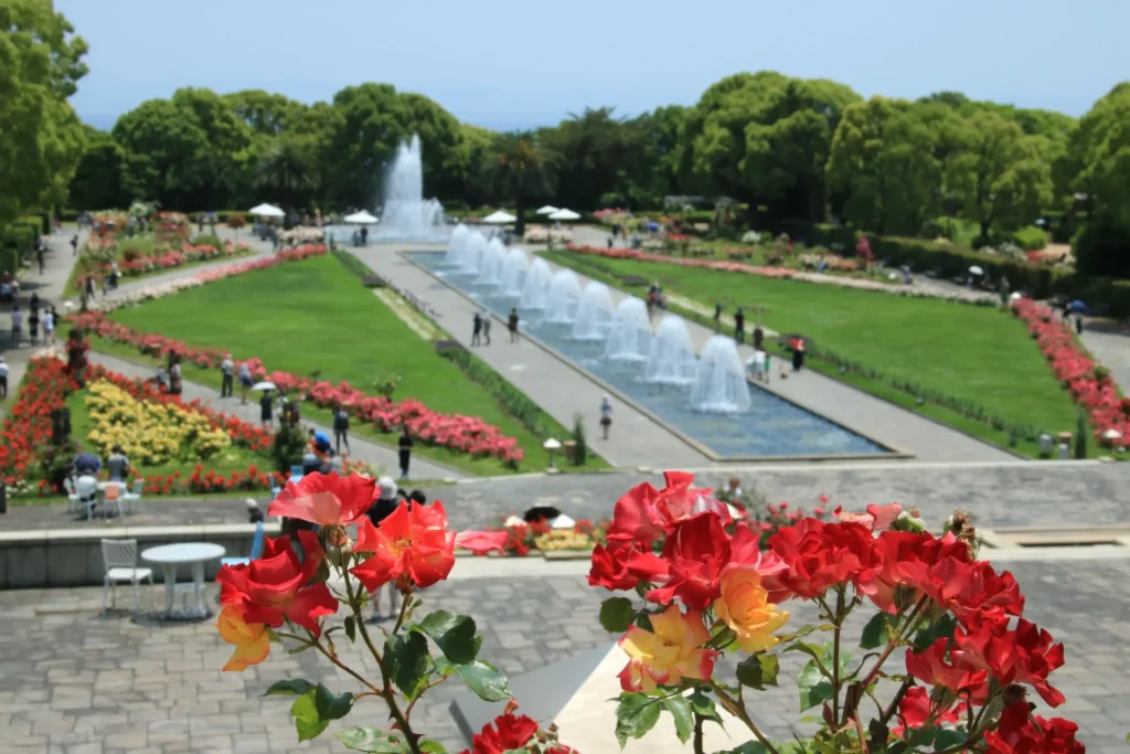 Suma Rikyu Park_rose01