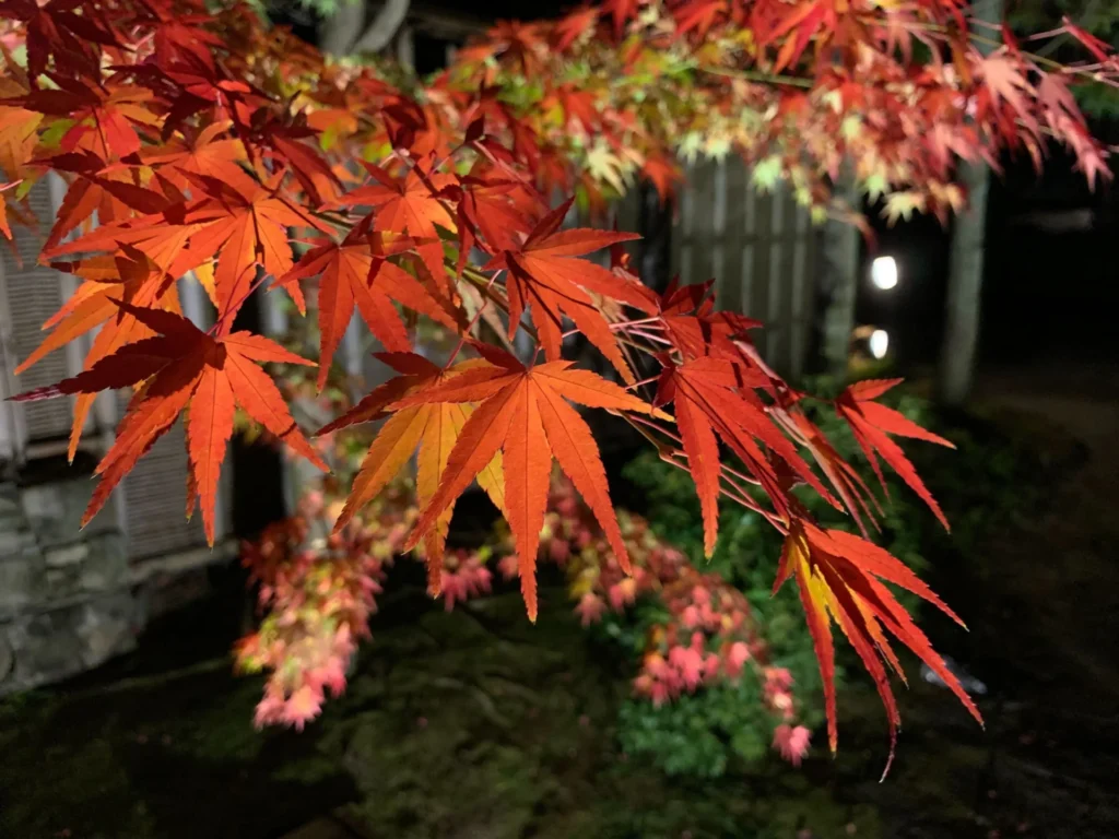 KOKO-EN_himeji01