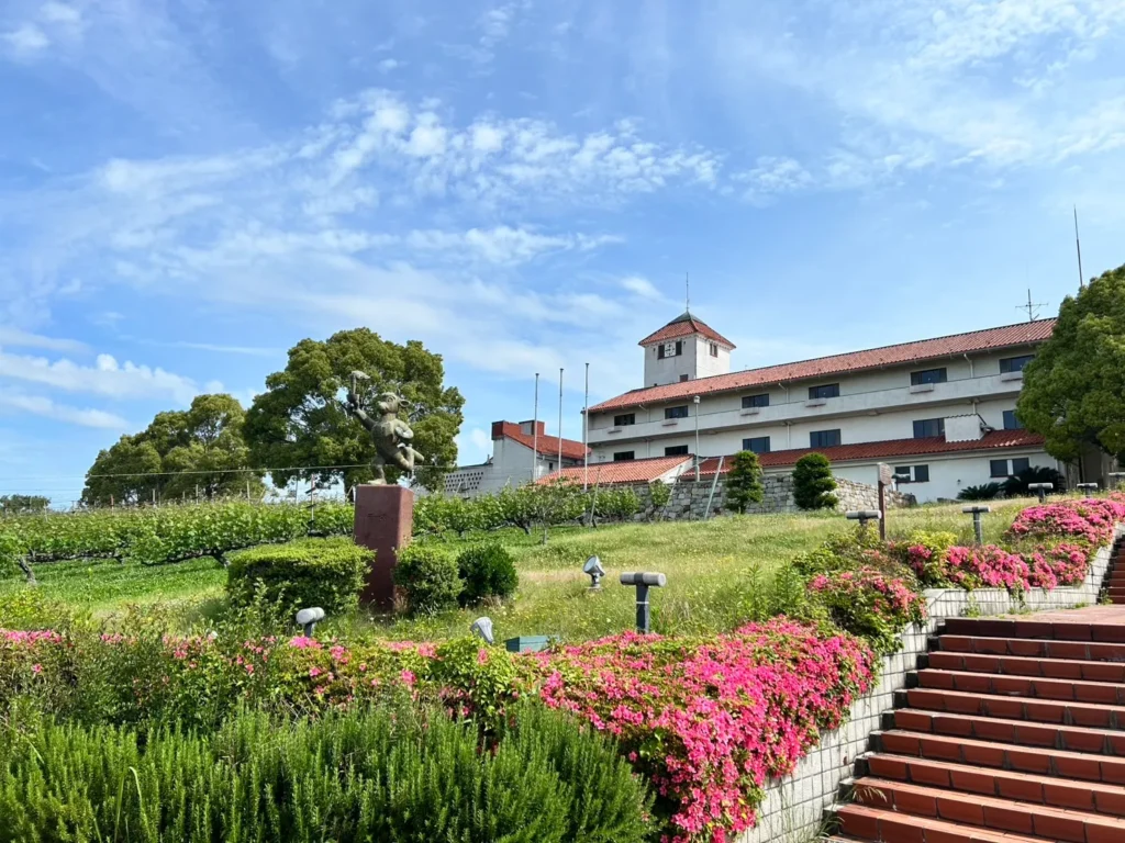 코베_네모필라03