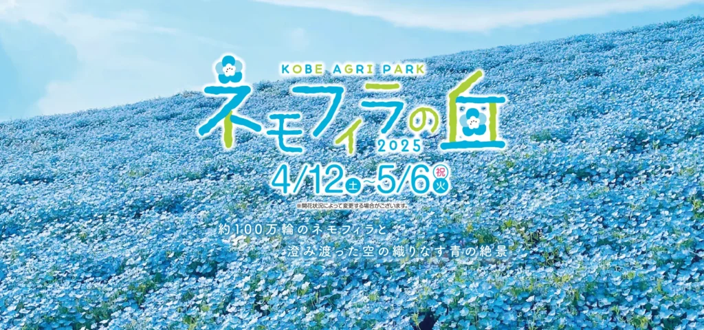 ネモフィラ