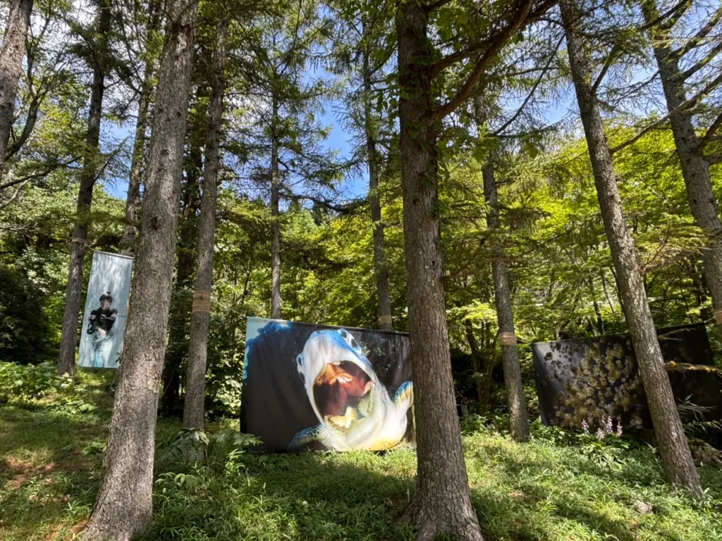 rokko-meets-art-06