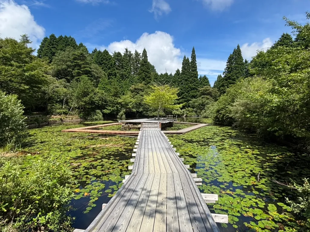 rokko-meets-art-11
