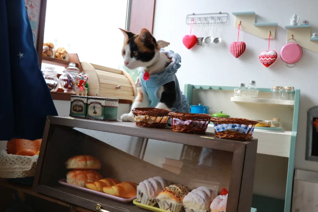 animal-cafe-23