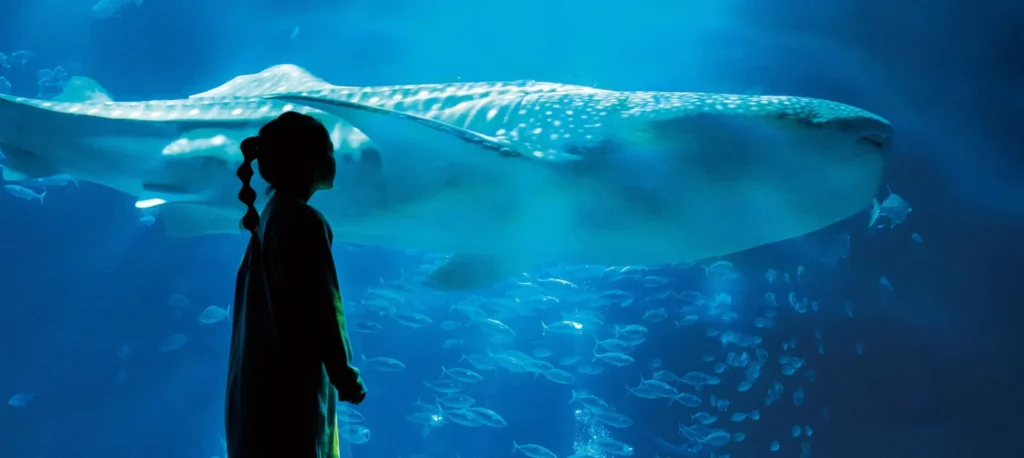kaiyukan-osaka-aquarium-02