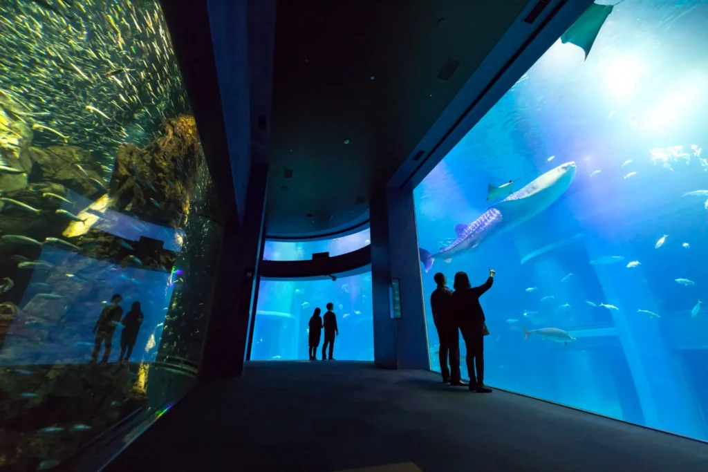 kaiyukan-osaka-aquarium-04