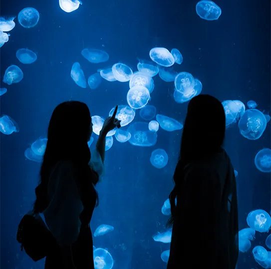 kaiyukan-osaka-aquarium-05