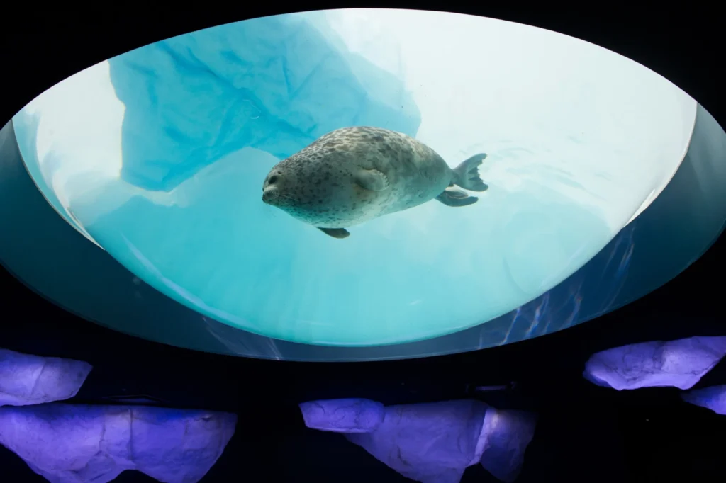 kaiyukan-osaka-aquarium-08