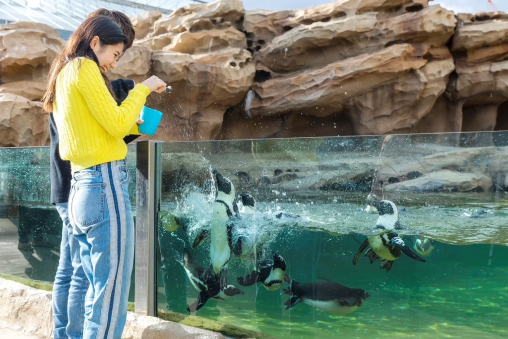kobe-zoo-10