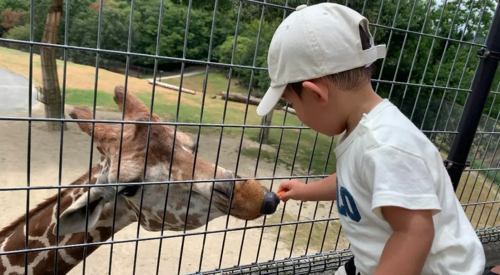 kobe-zoo-23