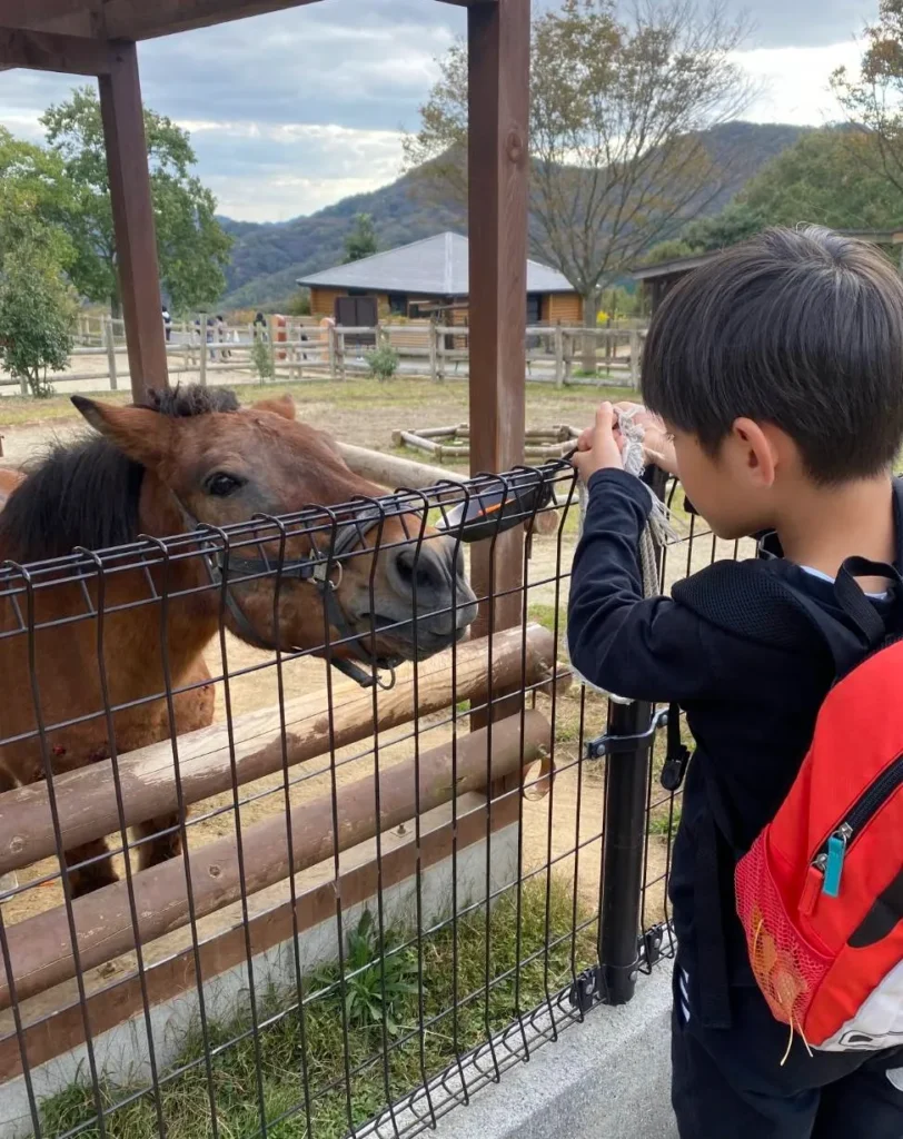 kobe-zoo-24
