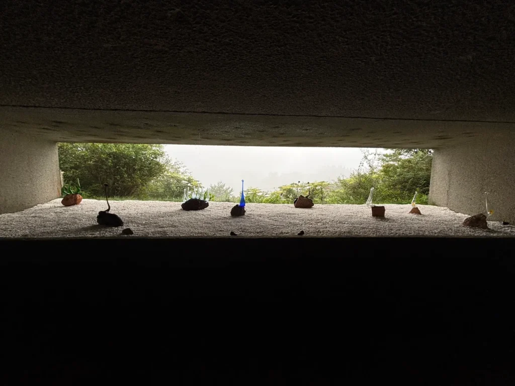 S__88301707_0