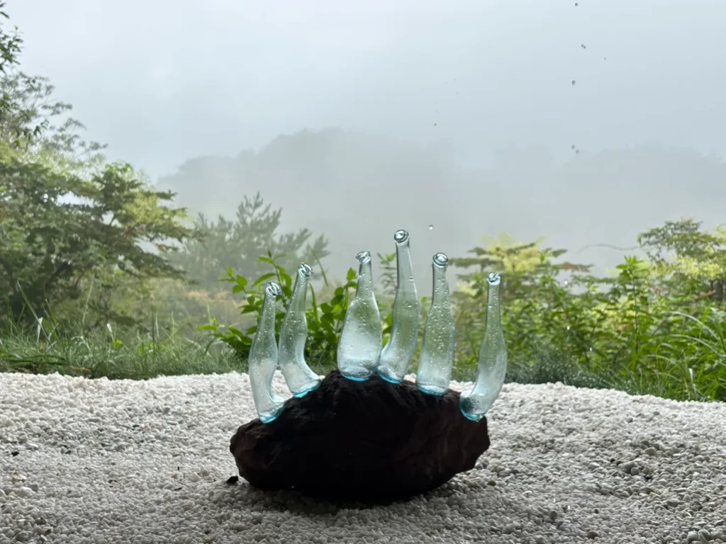 S__88301709_0