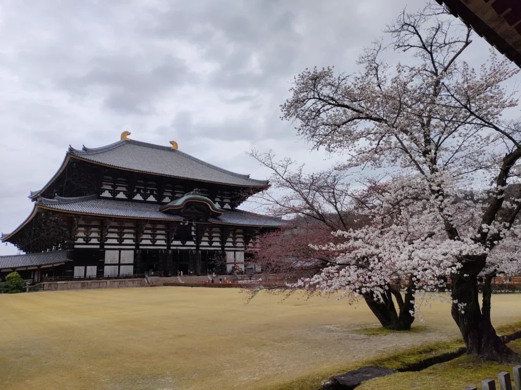 nara-1-day-trip-03
