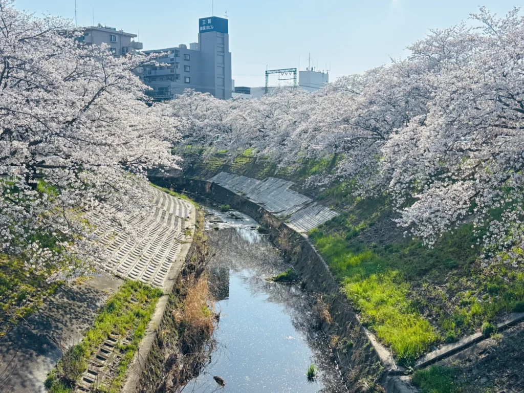 nara-1-day-trip-24