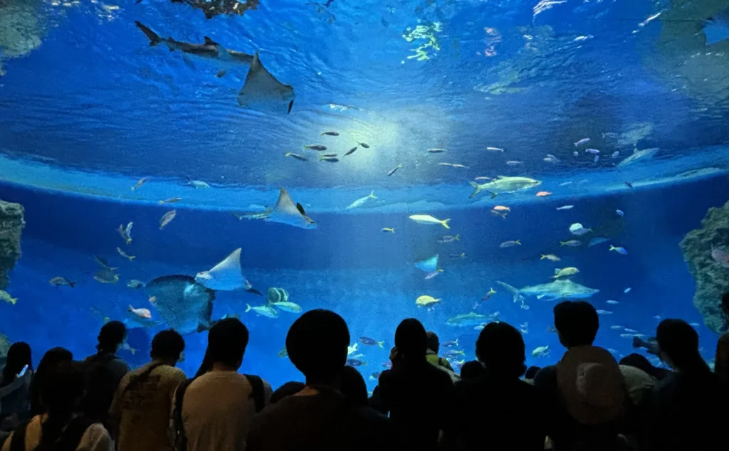 sumaura-sanjo-amusement-park-14