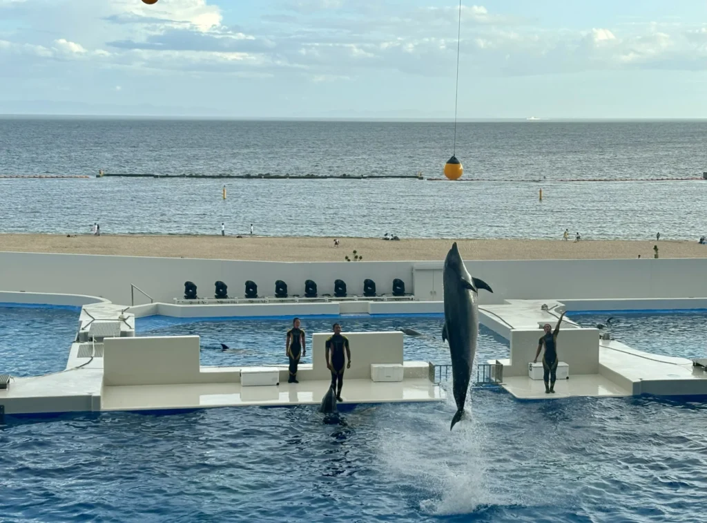 sumaura-sanjo-amusement-park-15