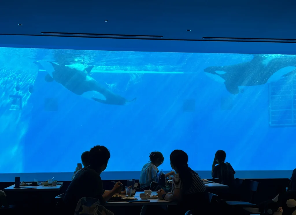 sumaura-sanjo-amusement-park-16