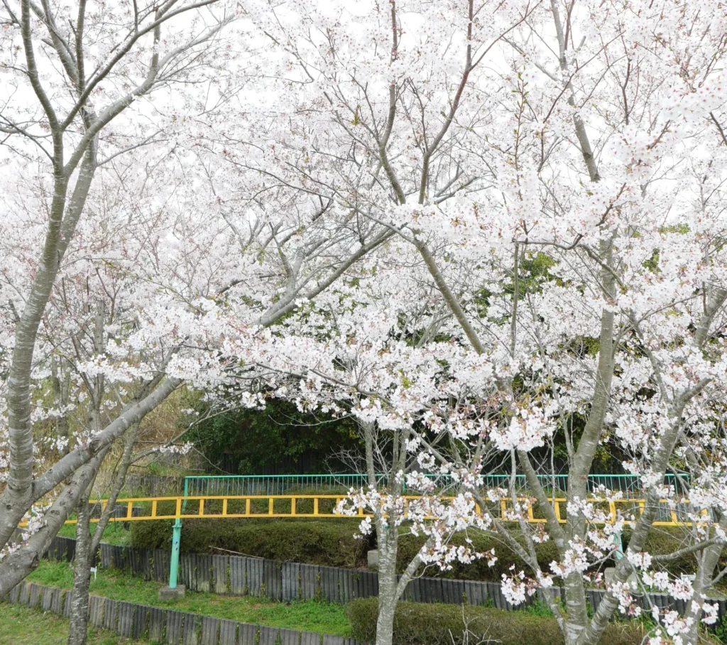 sumaura-sanjo-amusement-park-09