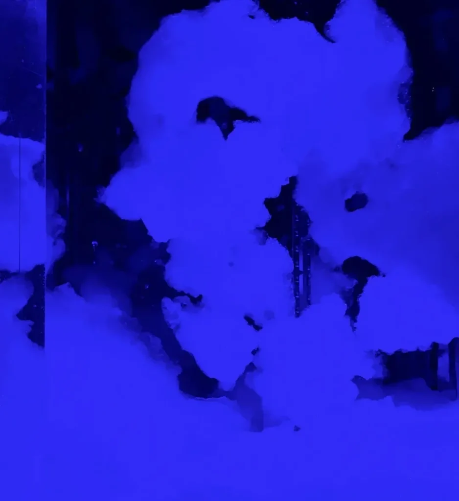 teamlab-biovortex-kyoto-09