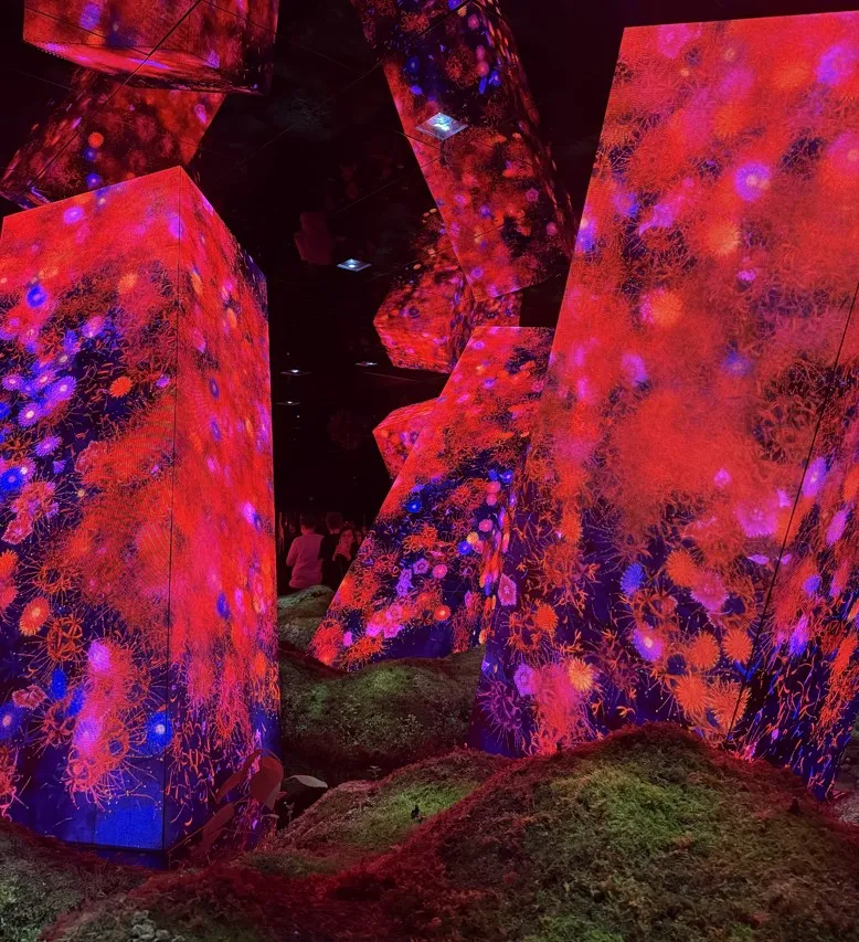 teamlab-biovortex-kyoto-11