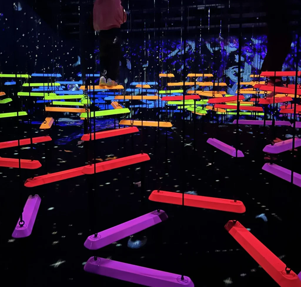 teamlab-biovortex-kyoto-13