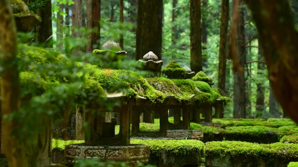 koyasan-wakayama-temple-stay-01