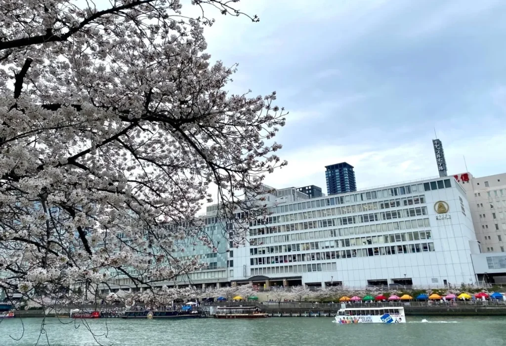 osaka-cruise-04