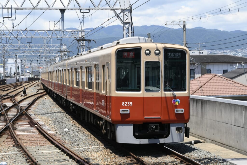 hanshin-24-model-course-01