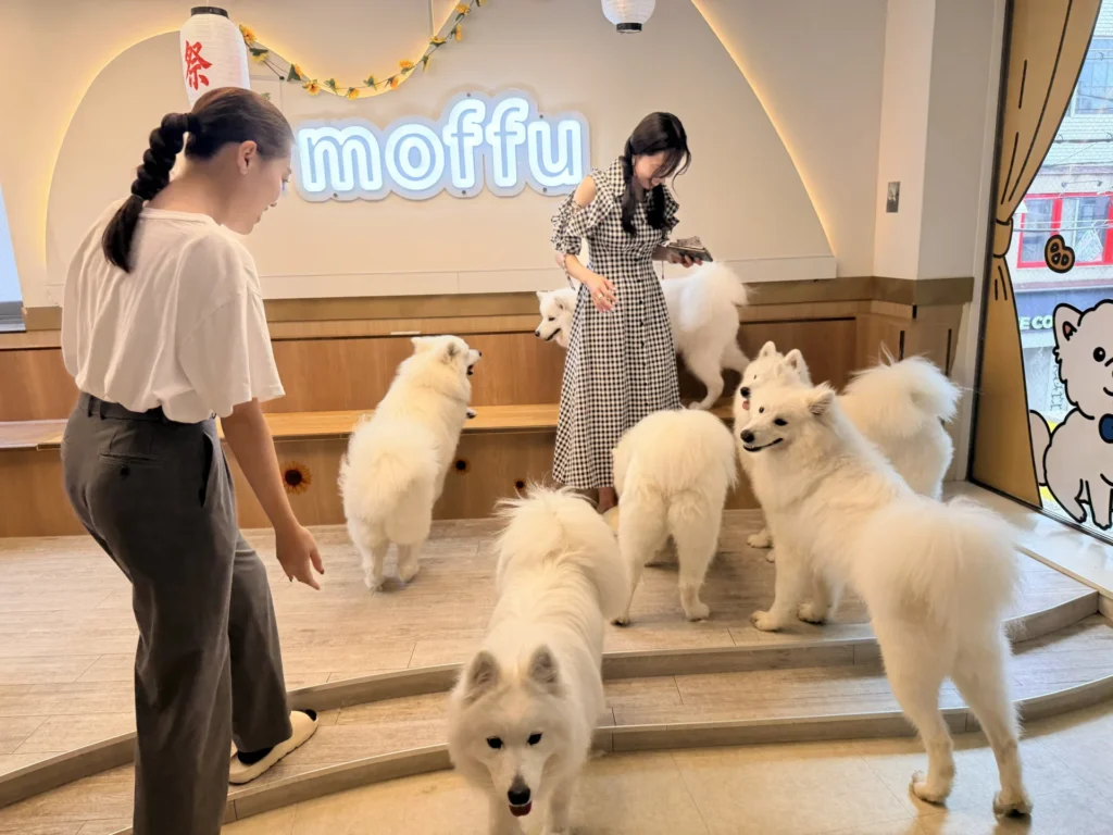 moffu03